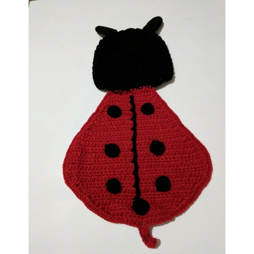 Lady Bug 1 piece newborn girl photo prop 0-3 months